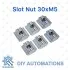 Slot Nut 30xM5 Image